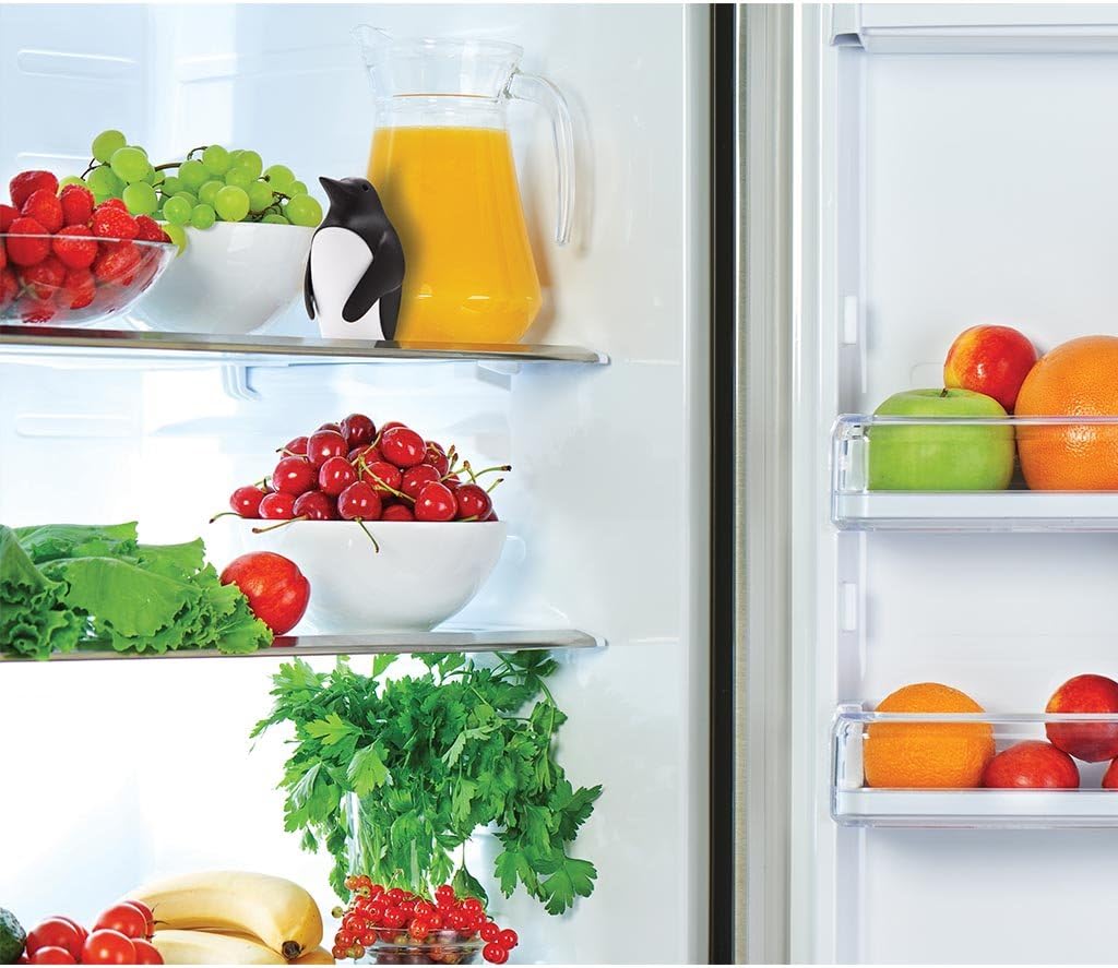 베이킹소다 홀더가 있는 냉장고 탈취제 - 신선한 냉장고 - Kitchen Gadgets Holder 리뷰 및 가격